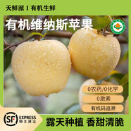 有機蘋(píng)果水果紅富士維納斯新鮮自然成熟蘋(píng)果汁不打蠟農場(chǎng)直發(fā)新果 有機維納斯蘋(píng)果家庭裝60-70mm（3斤左右寶寶果）