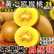 正宗黃心獼猴桃特大果禮盒新鮮30枚四川黃金奇異果金果應(yīng)季水果p 小果6粒【50-70g左右】
