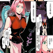 火影忍者，拳皇，柯南鬼滅，海賊王精品本子，動(dòng)漫周邊 火影忍者1248篇全彩，30g