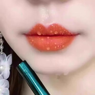 潘魅斯（panmeis）口紅不掉色不沾杯大牌正品防水持久不脫色保濕女正品官方 601胡蘿卜色（防水不沾杯）