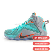耐克（NIKE）Lebron12NSRL詹姆斯12減震高幫兒童籃球鞋淺藍灰彩色青少年 40