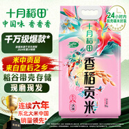 十月稻田 香稻貢米 東北大米 10斤（香米 粳米 5公斤/十斤）