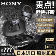 SONY AXSM索尼藍(lán)牙耳機(jī)無(wú)線(xiàn)降噪掛耳式骨傳導(dǎo)重低音運(yùn)動(dòng)跑步防水 黑色