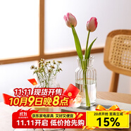 川島屋透明玻璃小花瓶擺件客廳插花干花水養(yǎng)網(wǎng)紅ins風(fēng)玻璃瓶 玻璃花瓶(直款)