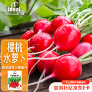 IDEAL理想農業(yè) 櫻桃小蘿卜種子水蘿卜籽幼兒園四季種蔬菜種子 約500粒