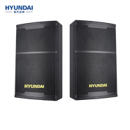 HYUNDAI現代卡包CY-710專(zhuān)業(yè)會(huì )議室音響10吋音箱重低音家庭影院藍牙功放套 現代CY-710十吋音響一對