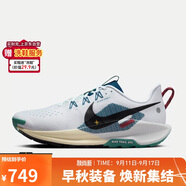 耐克NIKE跑步鞋 男戶外越野PEGASUS TRAIL運動鞋DV3864-100白黑藍40