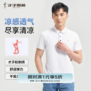 才子（TRIES）【多色可選 】POLO衫夏季新款男士短袖上衣仙鶴刺繡撞色翻領(lǐng) 網(wǎng)眼提花領(lǐng)白色 XL 50(175/92A)