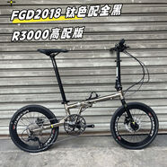 FNHON小魚單車風(fēng)行折疊車復(fù)古鉻鉬鋼FGD2018碟剎螞蟻腿鋼架9速20 FGD201810Tigra套件油碟版 20英寸20英寸