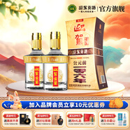 迎駕貢酒 （YJGJ）【官方】暢飲升級 迎駕金星濃香型送禮國產(chǎn)白酒 42度 520mL 2瓶 （含禮品袋）
