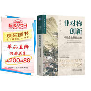 非對稱創(chuàng)新：中國企業(yè)趕超戰(zhàn)略