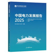中國電力發(fā)展報告.2025