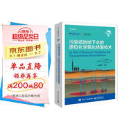 污染場地地下水的原位化學(xué)氧化修復(fù)技術(shù)