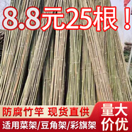 大海邊 竹竿菜園搭架豆角黃瓜番茄爬藤架園藝籬笆圍欄旗桿葡萄架批發(fā) 1cm粗1米長25根