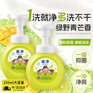 獅王（Lion）趣凈泡沫抑菌洗手液綠野青芒香250ml天然植萃保濕家庭滋潤兒童