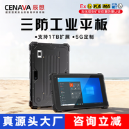 CENAVA8/10英寸windows三防平板電腦防爆井下煤礦叉車(chē)工業(yè)pad帶網(wǎng)口串口掃描5G網(wǎng)絡(luò )可定制模塊RS232接口 咨詢(xún)定制定金（自選配件） win10專(zhuān)業(yè)版
