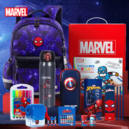 迪士尼（Disney）文具套裝禮盒小學生男兒童文具禮盒13件套禮包學習用品兒童生日禮物3-6年級書包保溫杯