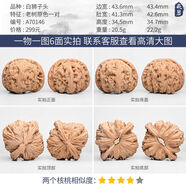 文玩核桃獅子頭精品一物一圖三角白獅子悶尖手工打底一對把玩手捻 A70146樹(shù)原色白獅子頭44mm