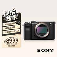 索尼（SONY）【政府補(bǔ)貼】Alpha 7C 全畫(huà)幅微單數(shù)碼相機(jī) 輕便小巧 實(shí)時(shí)眼部對(duì)焦 黑色（A7c/a7c/a7c）