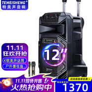 TEMEISHENG 特美聲SL12-31廣場舞戶外移動大功率演出活動拓展主持15寸大音量音響k歌唱歌便攜式藍牙藍牙音箱 12寸標配+2支無線話筒+大禮包