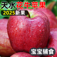 甘肅天水花牛2025新粉面蘋果嬰兒刮泥輔食老人食用寶寶粉糯蛇蘋果 【精美禮盒】5斤裝
