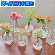 法式田園風(fēng)迷你浮雕透明玻璃小花瓶玫瑰康乃馨小支插花瓶客 精致七件套