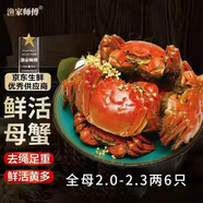 【活蟹】漁家師傅大閘蟹全母2-2.3兩6只去繩足重鮮活螃蟹現貨生鮮水產(chǎn)中秋禮盒