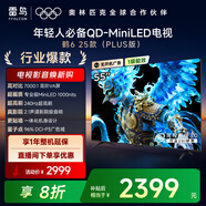 FFALCON雷鳥(niǎo)電視 55鶴6 25款（PLUS版） 55英寸 QD-MiniLED 高階VA 背光分區(qū) 家電國(guó)家補(bǔ)貼電視 55英寸 一級(jí)能效 55S595C