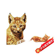 暢游動(dòng)物樂(lè )園 好奇寶寶大世界 0-3歲幼兒?jiǎn)⒚烧J知早教圖書(shū)