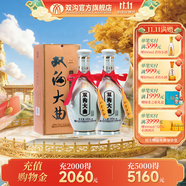 雙溝大曲青瓷53度480mL 2瓶裝白酒 雙溝酒廠官方店鋪【11.11禮】 53度 480mL 2瓶