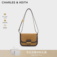 CHARLES&KEITH復(fù)古鎖扣豆腐包單肩斜挎包包女包生日禮物CK2-80781400 Sahara Sand沙色/棕色CK2-80782444-3 S/M