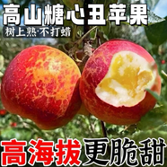 【涼山丑蘋(píng)果】大涼山鹽源丑蘋(píng)果冰糖心蘋(píng)果新鮮當季水果禮盒裝 8斤 70mm-80mm【好吃多汁】