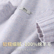 雪中飛（SNOWFLYING）100%綿羊毛女式羊毛衫秋冬綿軟舒適保暖針織衫純色圓領(lǐng)百搭毛衣女