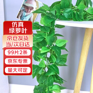 悠梵萌仿真綠植綠蘿藤條客廳裝飾管道遮擋99片過(guò)膠綠蘿2條2.3m/條