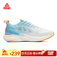 匹克（PEAK）態(tài)極6.0跑鞋男 吳磊運動鞋戶外太極4.0跑步鞋軟彈休閑鞋 大白/翠菊藍(態(tài)極6.0) 45
