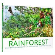 DK精品 熱帶雨林 英文原版 Rainforest 插圖之旅 穿越大自然未被看見(jiàn)的棲息地 探索地球上豐富的棲息地 兒童的雨林書(shū)籍 精裝大開(kāi)