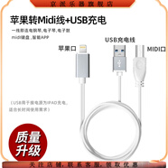 京派（JINGPAI）otg轉(zhuǎn)連接線雅馬哈電鋼琴ipad鏈連接usb雙排鍵電子琴host智能手機 白色充電款新版IOS 2m