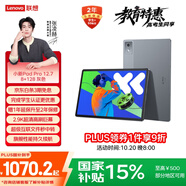 聯(lián)想小新PadPro12.7 2025款平板電腦 國家補(bǔ)貼15% 2.9K高刷全面屏 娛樂學(xué)習(xí) 10200mAh 8+128G大象灰