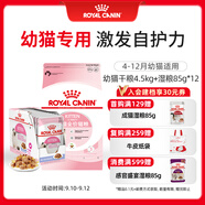 皇家幼貓 干濕搭配   K36 4.5KG+ KJP 85G*12