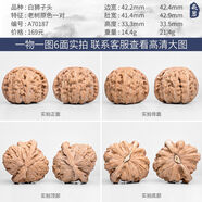 碧森文玩核桃獅子頭精品一物一圖三角白獅子悶尖手工打底一對把玩 A70187樹原色白獅子頭42mm