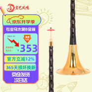 宏藝?guó)P鳴（HongYiFengMing）專業(yè)烏木降B金碗送哨片成人入門初學(xué)教程樂(lè)器全套