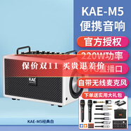KAEM5樂(lè)器彈唱音響吉他電吹管薩克斯戶外k歌路演直播大功率藍(lán)牙音箱 M5純凈白【額定220W】