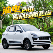 新款四輪車電動車新能源老頭樂無需駕照家用女士代步車 油電兩用 支持定制外觀顏色 最新優惠請咨詢客服