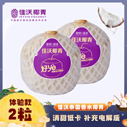 佳沃 JOYVIO泰國進(jìn)口椰青香水椰子 2個(gè)嘗鮮裝 中果800g+ 新鮮水果 源頭直發(fā)
