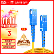 勝為光纖跳線 工程電信級SC-SC（UPC）單模單芯入戶光纖線 低煙無鹵環(huán)保外被 收發(fā)器尾纖 3米 FWSC-101