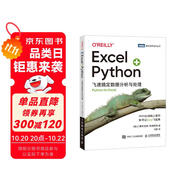 Excel+Python 飛速搞定數(shù)據(jù)分析與處理（圖靈出品）