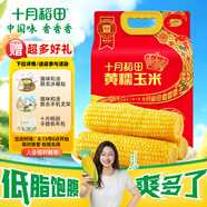 十月稻田 黃糯玉米 3.52斤(220g*8根) 東北粘苞米 早餐零食 蛇年限定