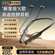 維肯（Viken）BT108 頸掛脖式藍牙耳機無線運動超長續(xù)航2025新款 【BT-108黑】8麥降噪 液晶數(shù)顯 運動搭檔 2025升級款 官方標配