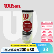 威爾勝（Wilson）美網(wǎng)專(zhuān)業(yè)比賽賽事用球上海大師賽全場(chǎng)地練習訓練有壓網(wǎng)球罐裝球 【全場(chǎng)地訓練用球】WRT1021 有壓球