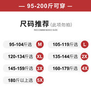 芳妮詩(shī)（FANGNISHI）芳妮詩(shī)小紅書(shū)推薦長(cháng)袖連衣裙女秋季2025年新款大碼直筒裙翻領(lǐng)時(shí)尚 身高體重尺碼 L